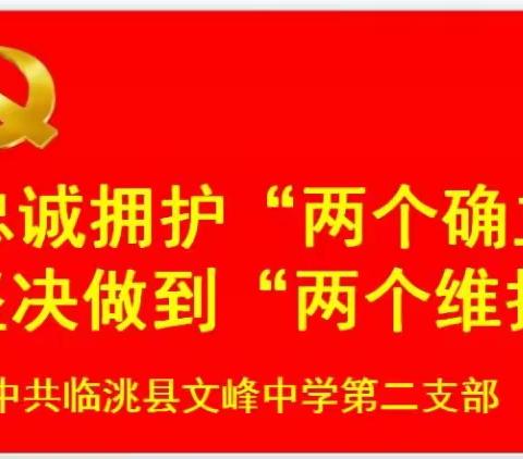 【书记党建项目】学习悟践党的二十大精神