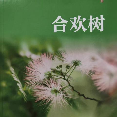 邢台市第二十六中学“阅读 赋能 成长”主题读书节活动——自读课本《合欢树》好文推荐