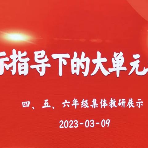 研读新课标 践行新理念——新课标指导下大单元集体备课