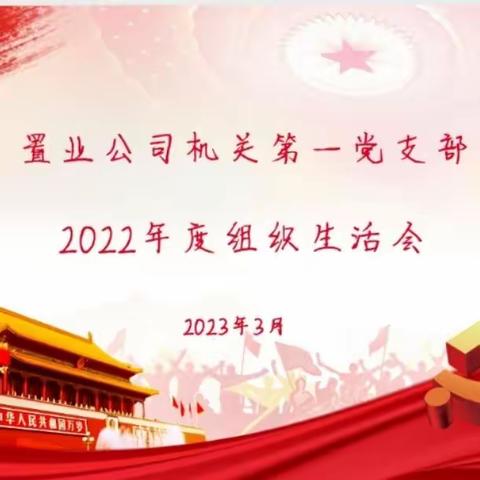 置业公司机关第一党支部召开2022年度组织生活会暨民主评议党员会议