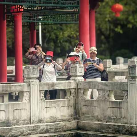 户外拍照的惬意瞬间