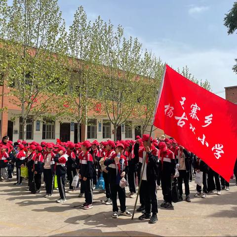 🌿遇春天·趣春游🌱——王寨乡杨古城小学四年级春游活动