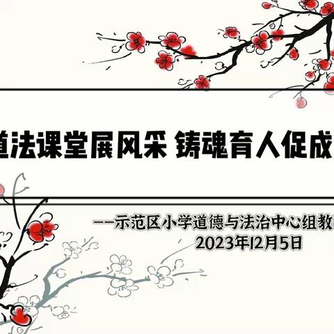 道法课堂展风采  铸魂育人促成长——示范区小学道德与法治中心组教研活动