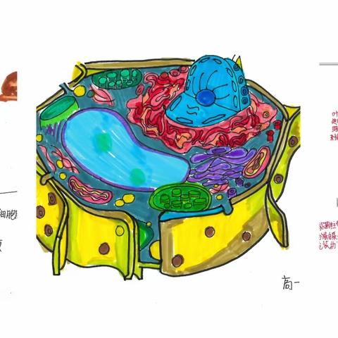 紫阳中学第三届体育科技文化艺术节校园生物科技展