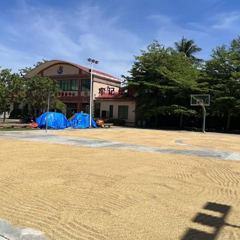 邦溪镇：千方百计解民之忧 全力以赴保粮食安全