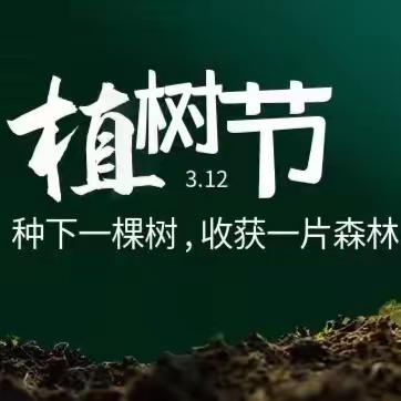 携手植绿 共赴春约