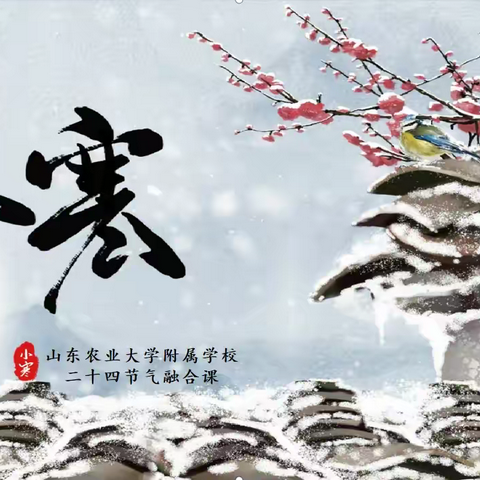 小寒至，暖阳生 ——山东农业大学附属学校二十四节气学科融合之小寒融合课