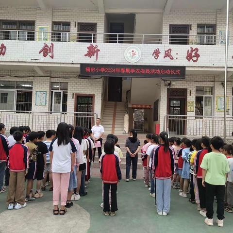 福田小学学农实践活动报道