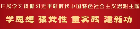 凝心铸魂感悟伟大思想  锤炼担当凝聚奋进力量 ——安居中学学习贯彻习近平新时代特色社会主义思想主题教育第一次学习研讨会