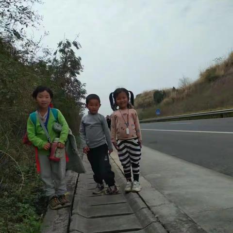 【耕心之子】励志|5岁小孩4天自愿徒步150公里