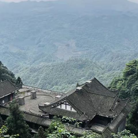 【千圆道观】耕心｜七天七夜断食记