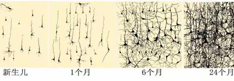 高考物理二轮“组块”与“切块”