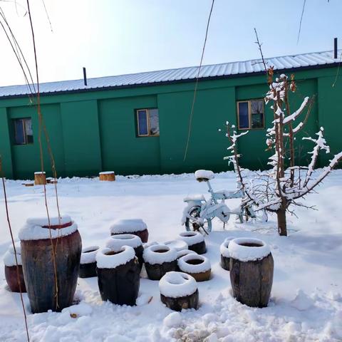 “幼”见初雪——“大班萌娃玩雪记”