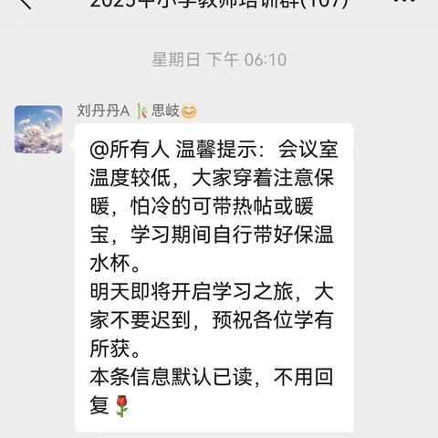 智迎变革，暖育未来 中西部中小学教师人工智能素养提升专题培训（林甸分课堂）