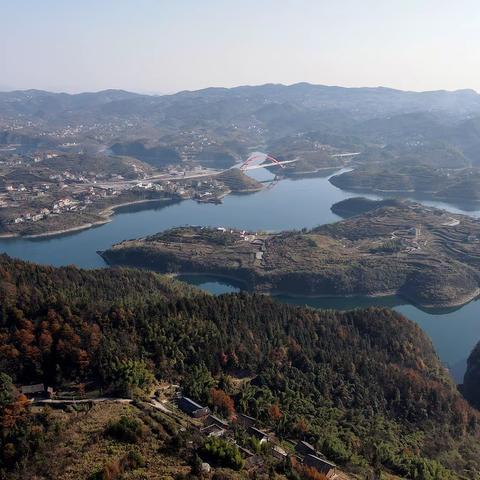 杨社年七十寿辰留影