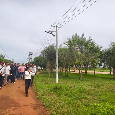 2025年湛江农垦（乡村振兴基层治理三班）高素质农民培训班