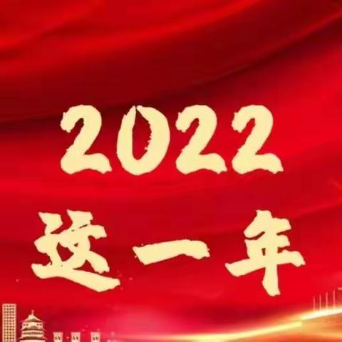 蒲城镇2022年度工作盘点