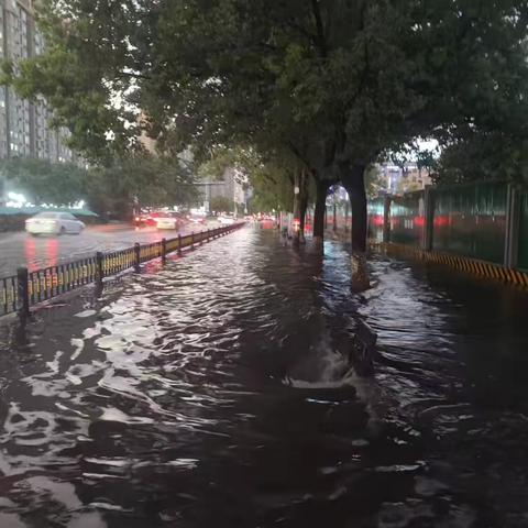 稠江街道迅速处置路面积水 确保道路安全通行