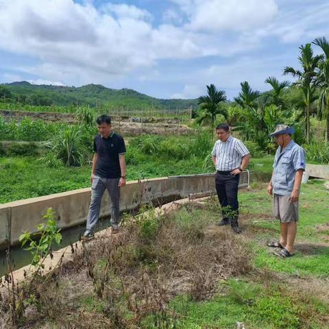 番阳镇持续推进秸秆禁烧巡查与宣传工作