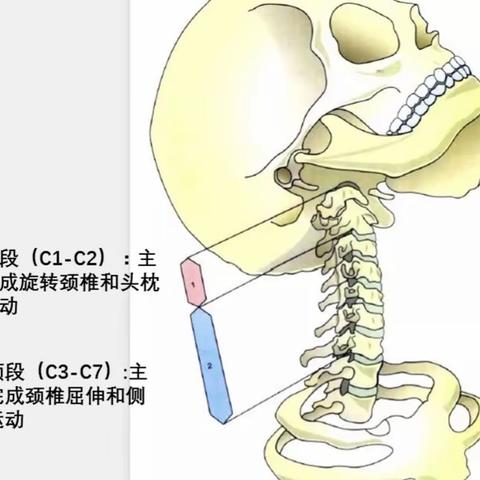 要想睡好没烦恼，枕头务必要选好！