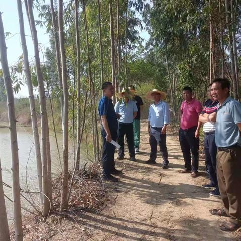 市级林长周坛到福久村开展巡林检查工作