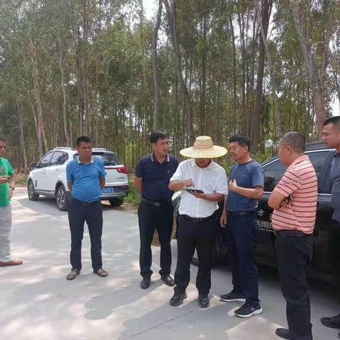 市级林长周坛到福久村海榆西线林段开展巡林检查工作
