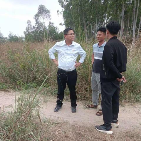 市级林长周坛到月村村开展巡林检查工作