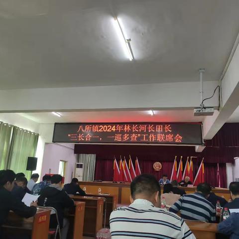 八所镇2024年林长河长田长“三长合一，一巡多查”工作联席会