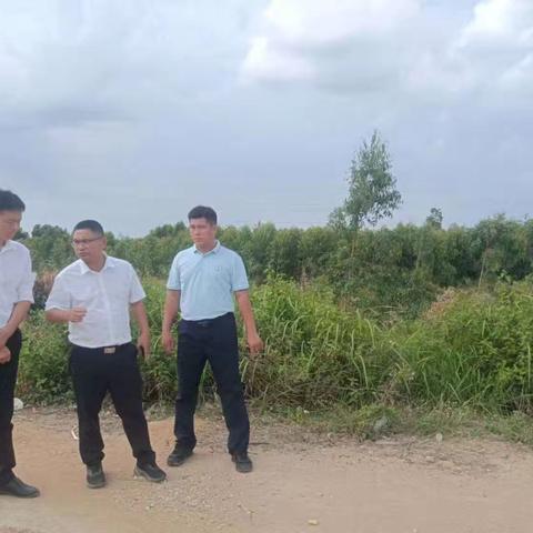 市级林长周坛到上名山村开展巡林工作