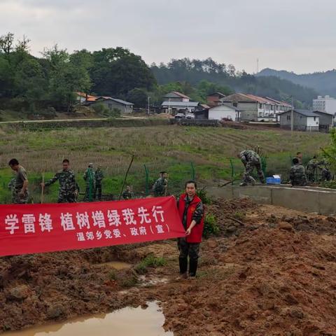 四领一促 | 温郊乡：致力生态领向，厚植发展底色