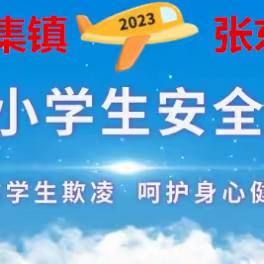 灵璧县游集镇张东湖小学安全教育日学习视频