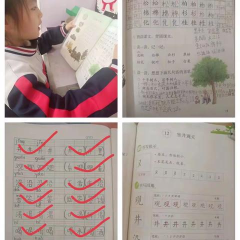 【十小•教学】“疫”样作业展风姿——二年级（6）班优秀作业展评