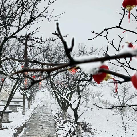 望家山“上演”春雪美景