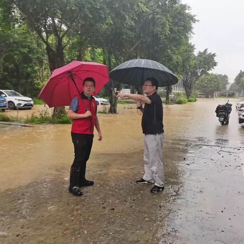 区领导下沉金山工业园区指导防汛工作