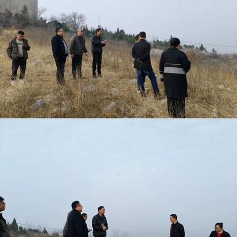 马家乡3月17日工作动态