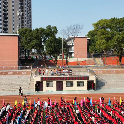 运动展风采，一起向未来