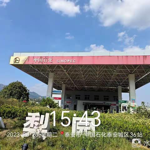 市一区"最美星期二"活动纪实-6月20日