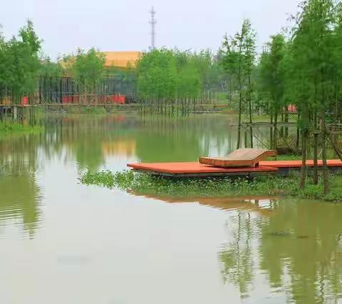 群心晨练秧歌队姐妹花放飞在美丽的兰溪扬子江公园