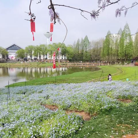春天里