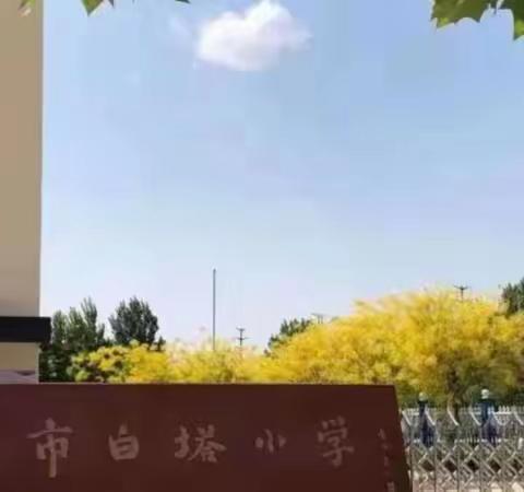 六年级四班“缤纷‘果’世界”展示 任丘市西环路白塔小学第三届苹果节