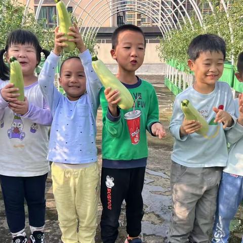 “享采摘之趣，沐自然之美”——太阳一班🌸西葫芦采摘小分队