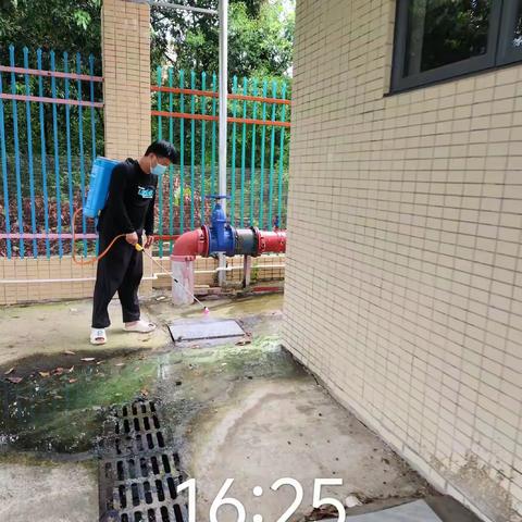 【西南镇黄塘幼儿园】2025年第十一期——基孔肯雅热防控家校联合行动指南