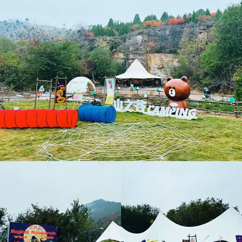 “韵”漫山谷 “律”野仙踪🍃