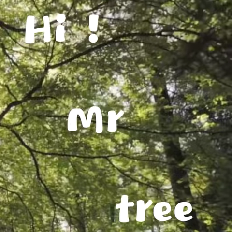 童林堡（槐荫园）国际部春日行走的课堂