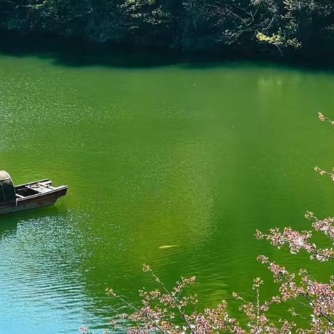 制作地球主题海报