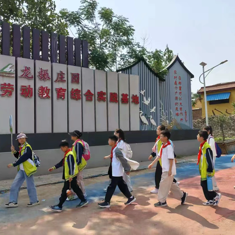 研有所见,学有收获；探索自然奥秘，劳动灌溉梦想——滕州市柴里矿区学校研学活动