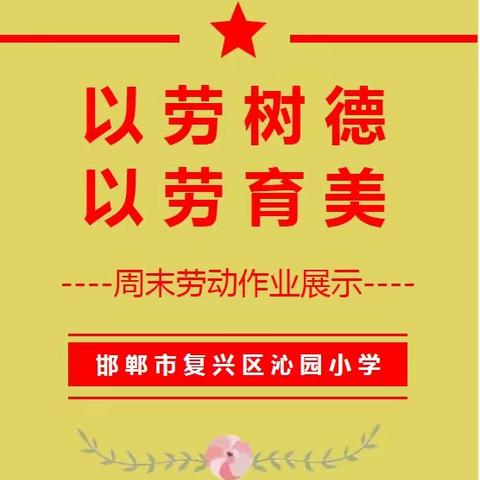 以劳树德，以劳育美——沁园小学周末劳动实践作业展示