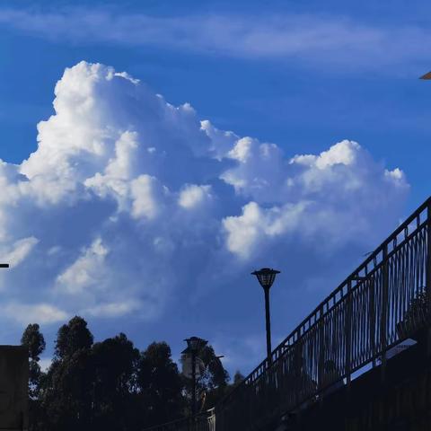 读书好，好读书，读好书 ——胶州市实验初级中学2022级6班荐书