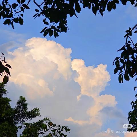 英国莫兰德学校研学之旅