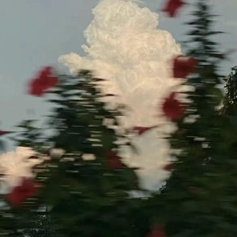 英国曼彻斯特之旅